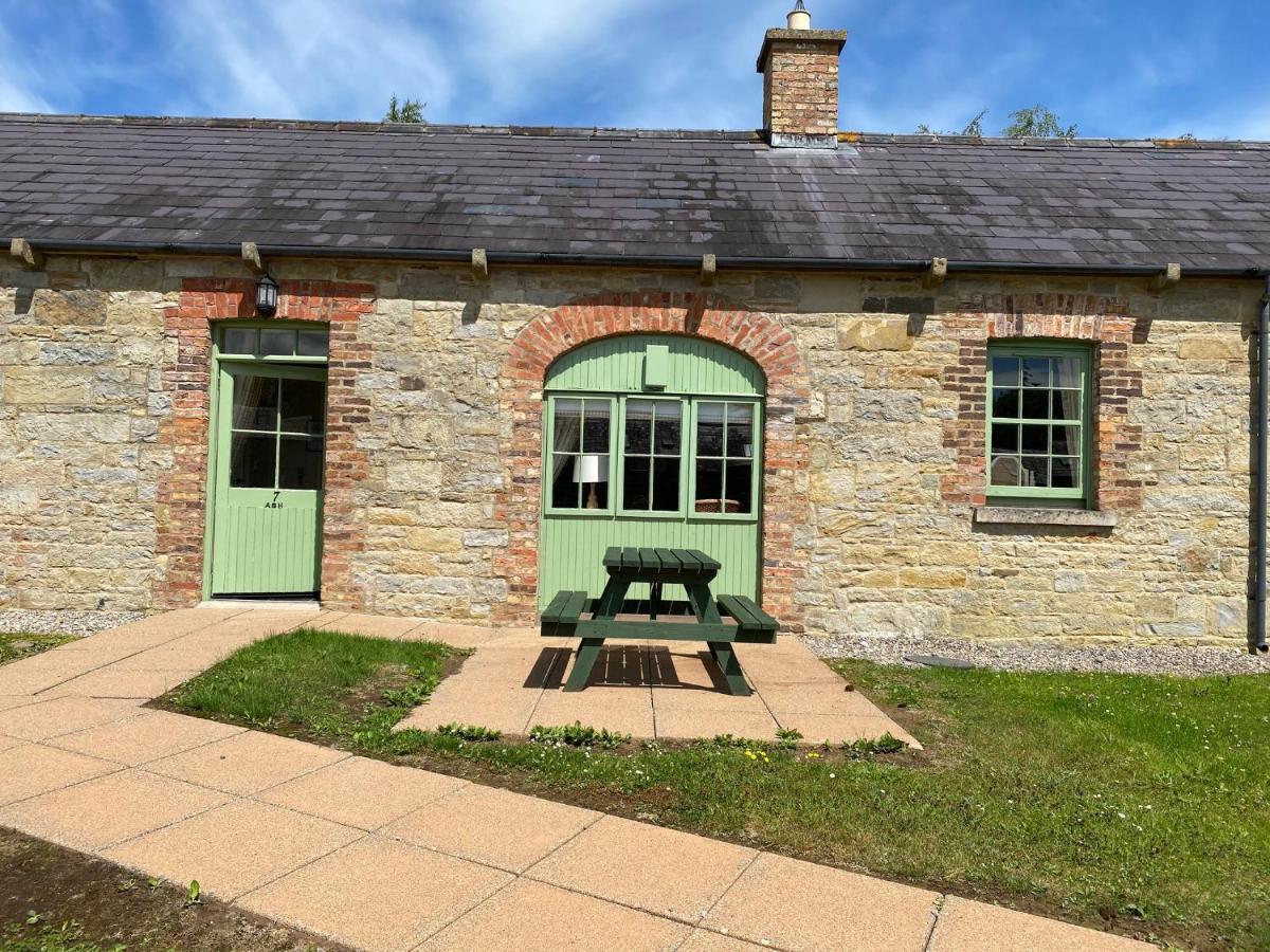 Belle Isle Castle And Cottages 에니스킬런 외부 사진