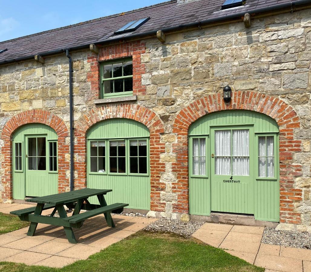 Belle Isle Castle And Cottages 에니스킬런 외부 사진